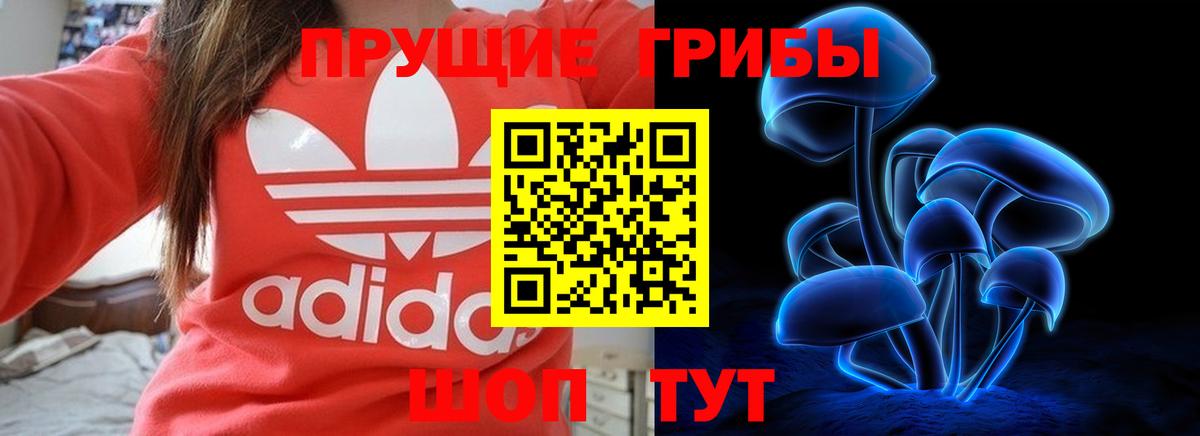 Псилоцибиновые грибы прущие грибы  цены наркотик  Чита  Вход с VPN  Галлюциногенные грибы MAGIC MUSHROOMS 